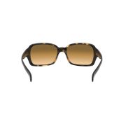 Ray-Ban-Rb4068-180