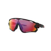 Oakley-Jawbreaker-Sunglasses-030
