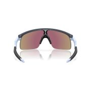 Oakley Youth Sun-Resistor-Back