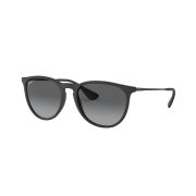 Ray-Ban Erika-030