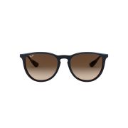 Ray-Ban-Erika-000