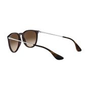 Ray-Ban-Erika-120