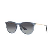 Ray-Ban Erika-030