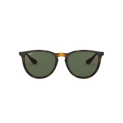 Ray-Ban-Erika-000