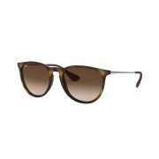 Ray-Ban-Erika-030