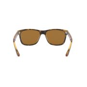 Ray-Ban Rb4181-180