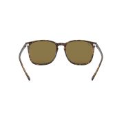 Ray-Ban RB4387-180