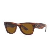 Ray-Ban-Mega_Wayfarer-000