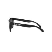 Oakley-Frogskins-Sunglasses-090