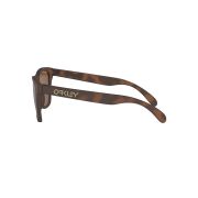 Oakley-Frogskins-Sunglasses-090