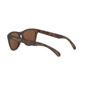 Oakley-Frogskins-Sunglasses-120