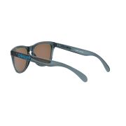 Oakley-Frogskins-Sunglasses-120