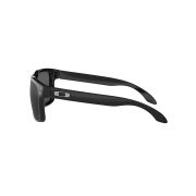 Oakley-Holbrook-Sunglasses-090