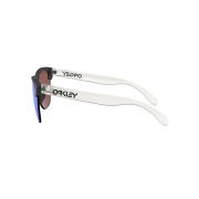 Oakley-Frogskins_Lite-Sunglasses-090