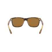 Ray-Ban RB4181