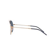Ray-Ban AVIATOR REVERSE Sunglasses