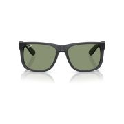 Ray-Ban Justin RB4165 Front View