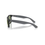 Ray-Ban Justin RB4165 Side View