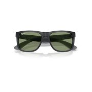 Ray-Ban Justin RB4165 Top View